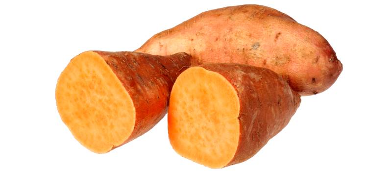 Yam - Red Jewel - bulk single