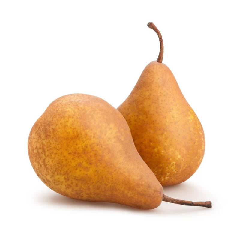 Pear - Bosc Pears