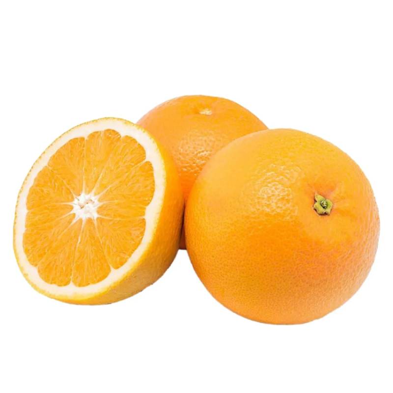 Valencia Oranges – 113 Count Case