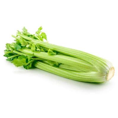 Celery – 24 Count Case