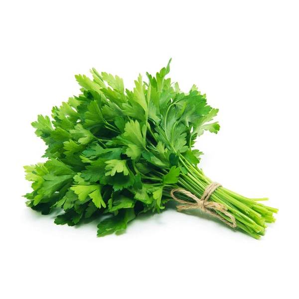 Cilantro – 60 Bunches / Case