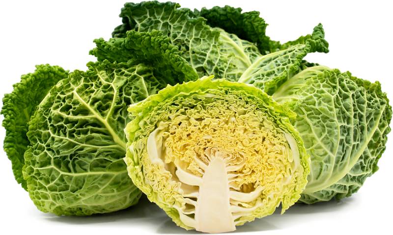Savoy Cabbage - 35-40lb case