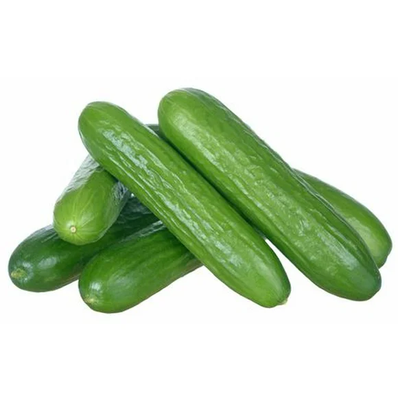 Cucumber - Mini Cucumber (6 per pack)